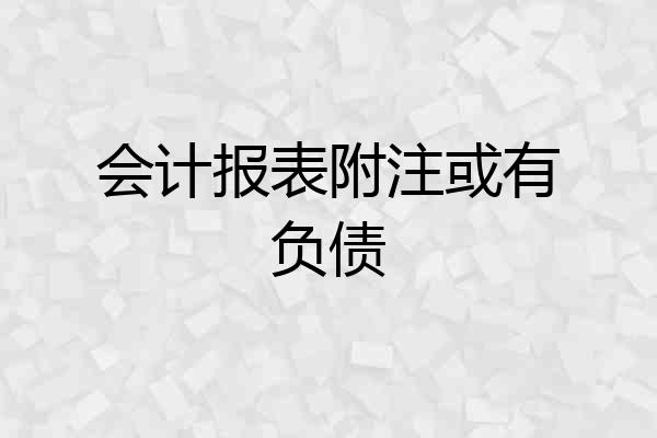 会计报表附注或有负债