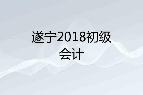 遂宁2018初级会计