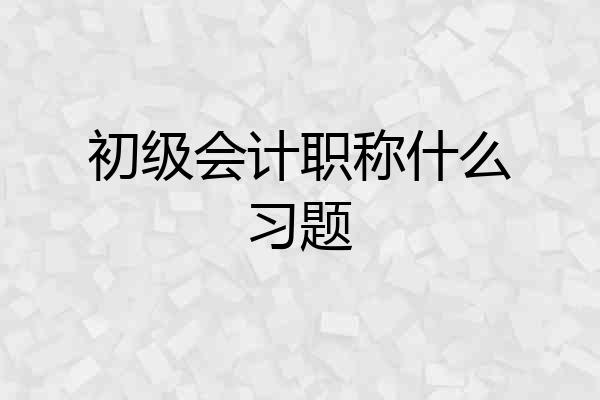 初级会计职称什么习题