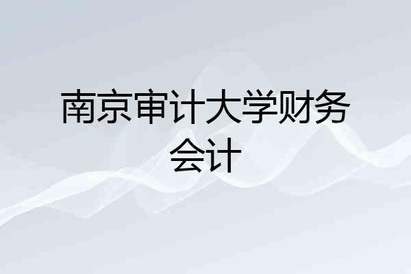 南京审计大学财务会计