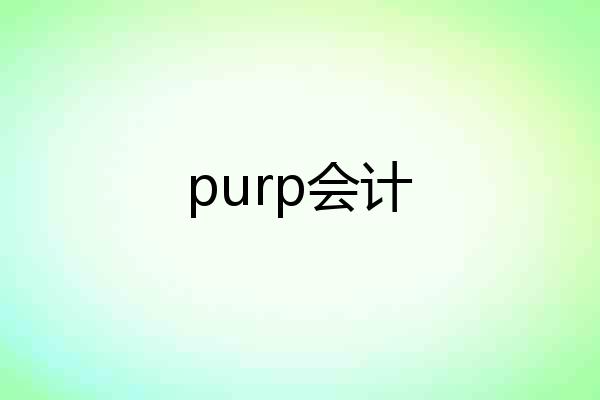 purp会计