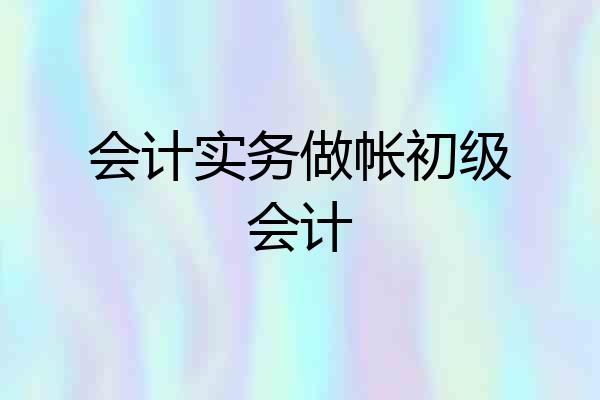 会计实务做帐初级会计