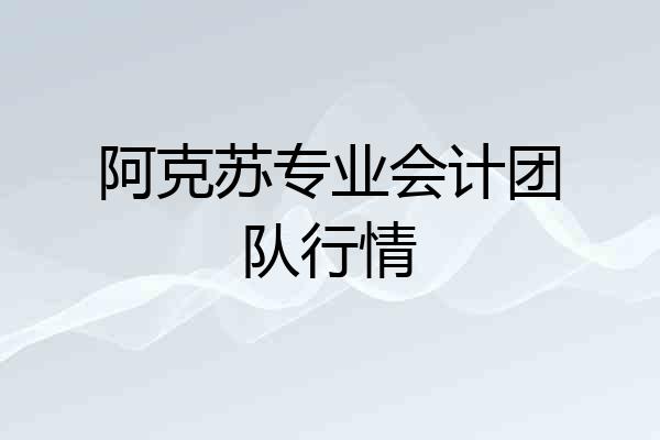 阿克苏专业会计团队行情