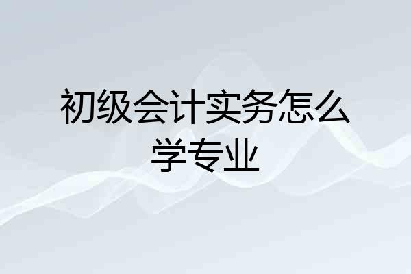 初级会计实务怎么学专业
