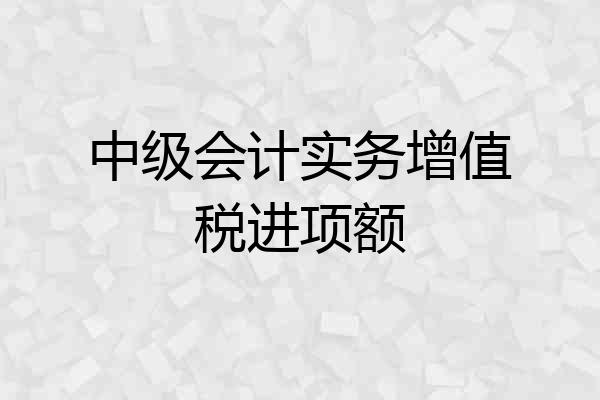 中级会计实务增值税进项额