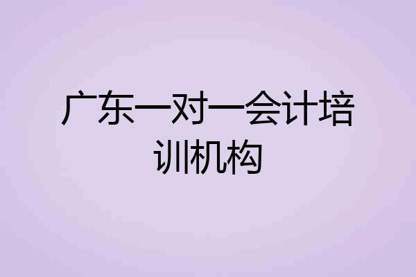 广东一对一会计培训机构