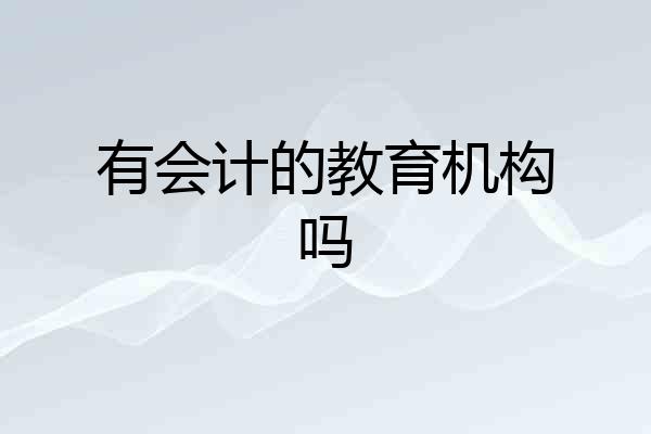 有会计的教育机构吗
