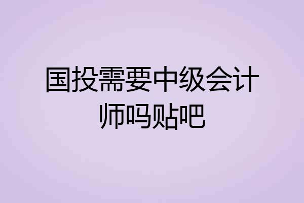 国投需要中级会计师吗贴吧