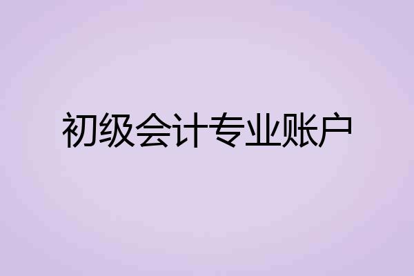 初级会计专业账户