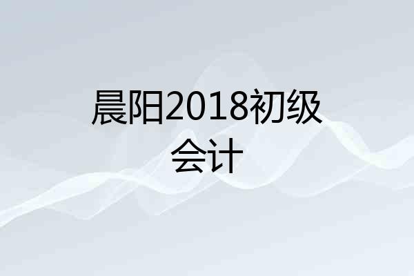 晨阳2018初级会计