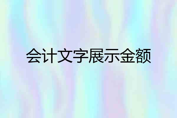 会计文字展示金额