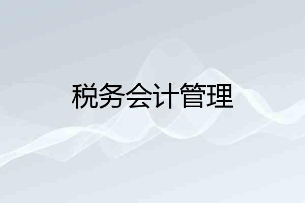 税务会计管理