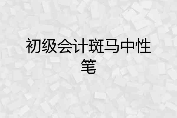初级会计斑马中性笔