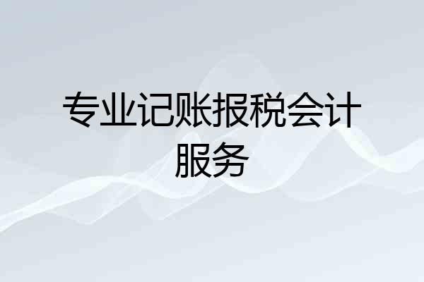 专业记账报税会计服务