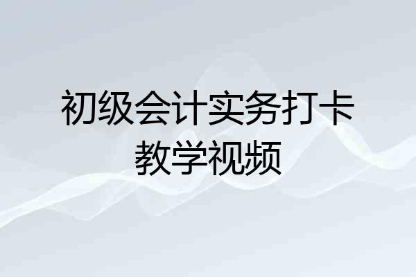 初级会计实务打卡教学视频