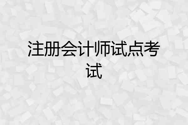 注册会计师试点考试