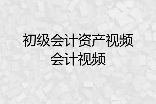 初级会计资产视频会计视频