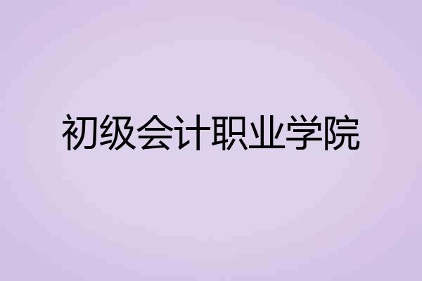 初级会计职业学院