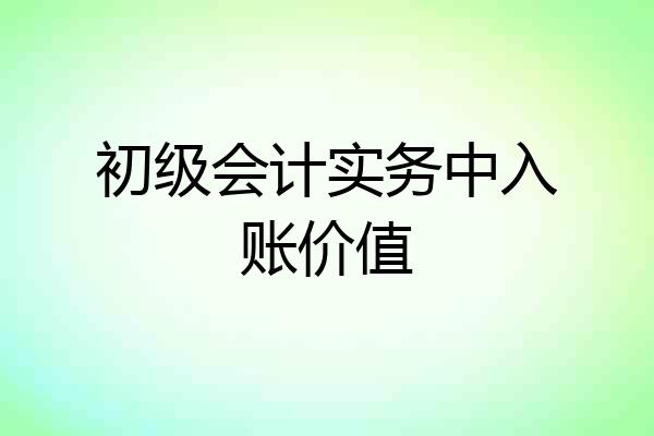 初级会计实务中入账价值