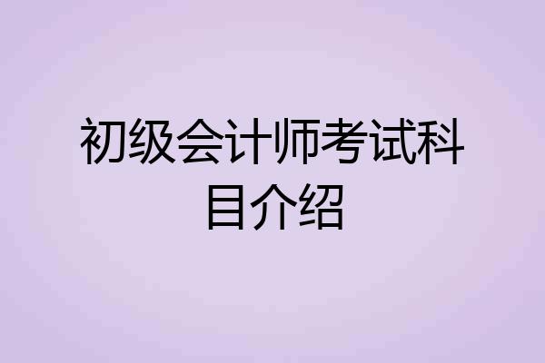 初级会计师考试科目介绍