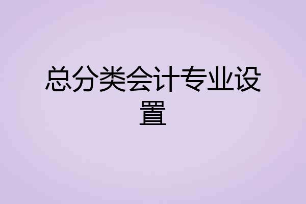总分类会计专业设置