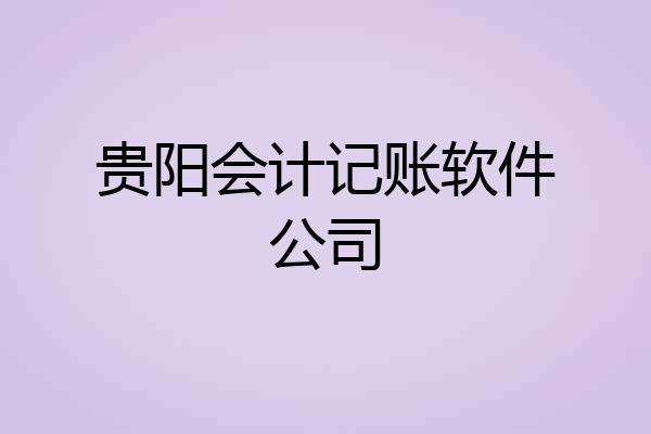 贵阳会计记账软件公司