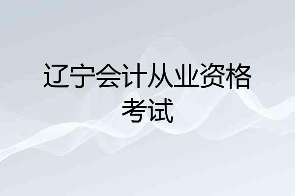 辽宁会计从业资格考试