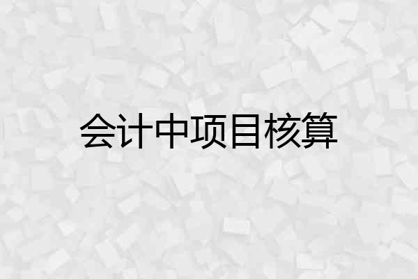 会计中项目核算