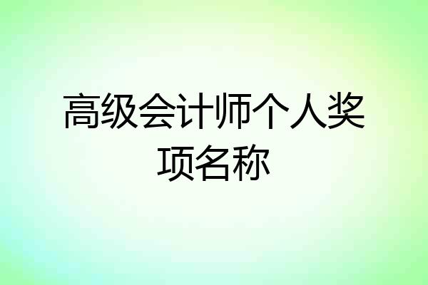 高级会计师个人奖项名称