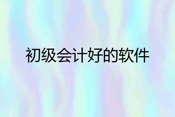 初级会计好的软件