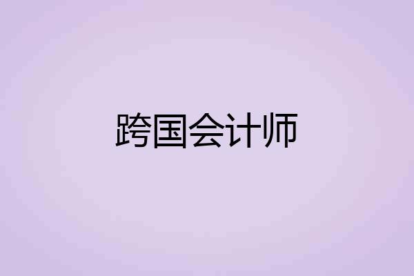 跨国会计师