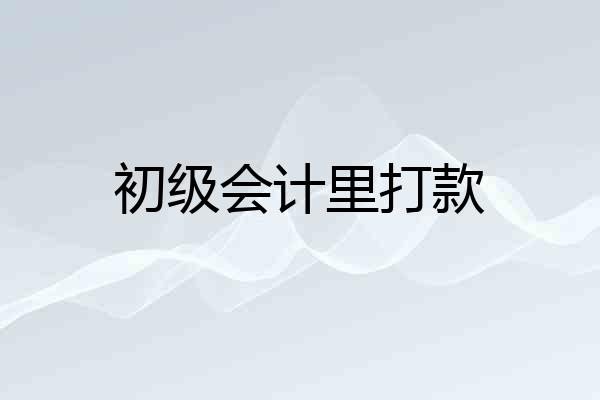 初级会计里打款