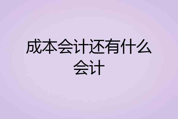 成本会计还有什么会计