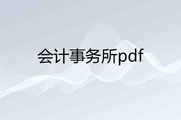会计事务所pdf