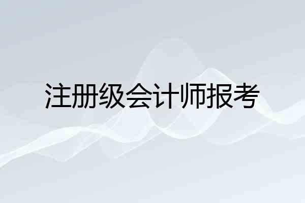 注册级会计师报考