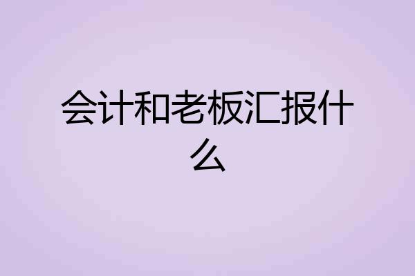 会计和老板汇报什么