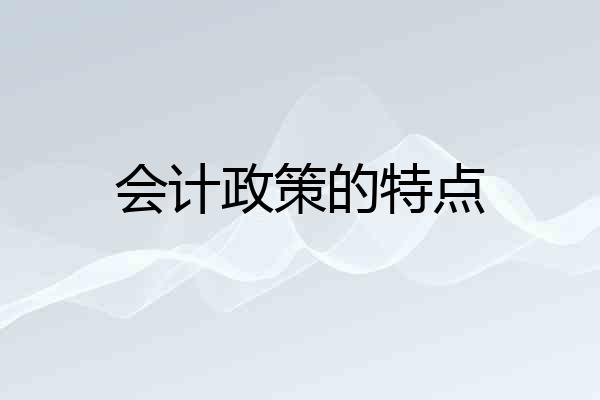 会计政策的特点