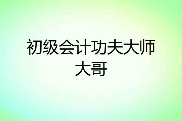 初级会计功夫大师大哥