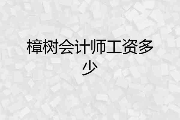 樟树会计师工资多少