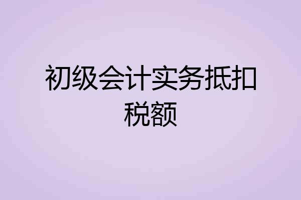 初级会计实务抵扣税额