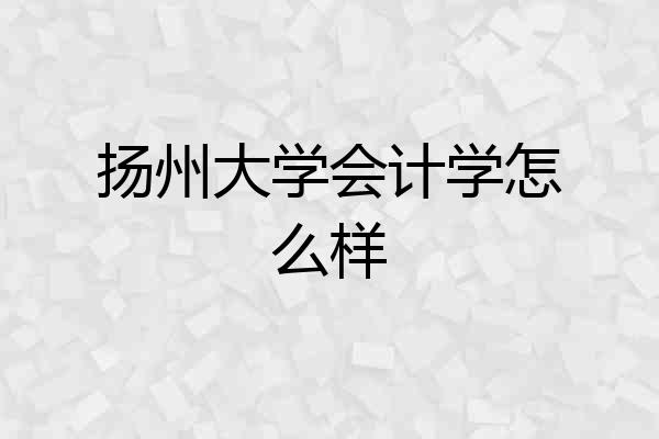 扬州大学会计学怎么样