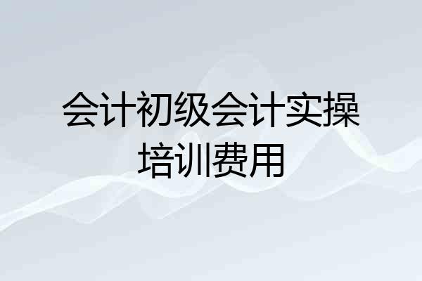会计初级会计实操培训费用
