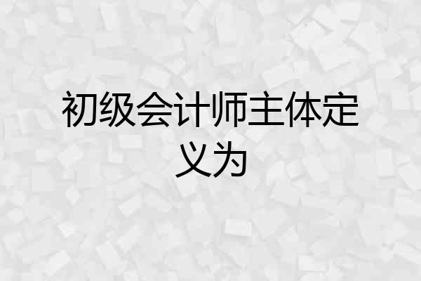 初级会计师主体定义为