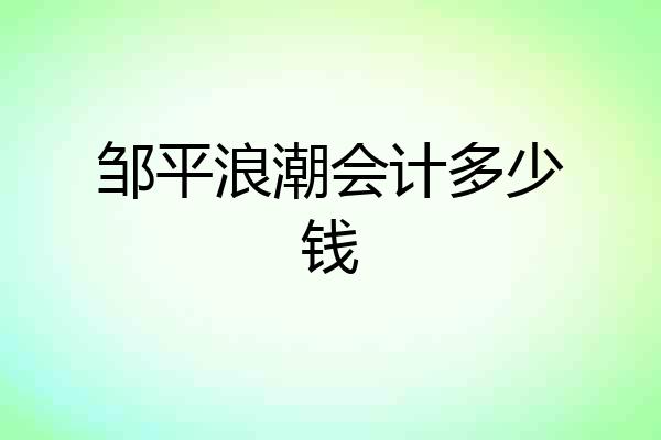 邹平浪潮会计多少钱