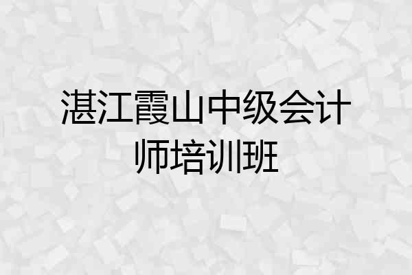 湛江霞山中级会计师培训班