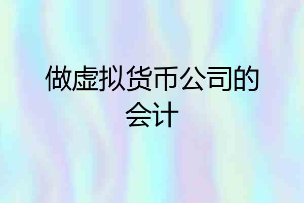 做虚拟货币公司的会计