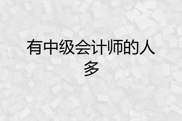 有中级会计师的人多