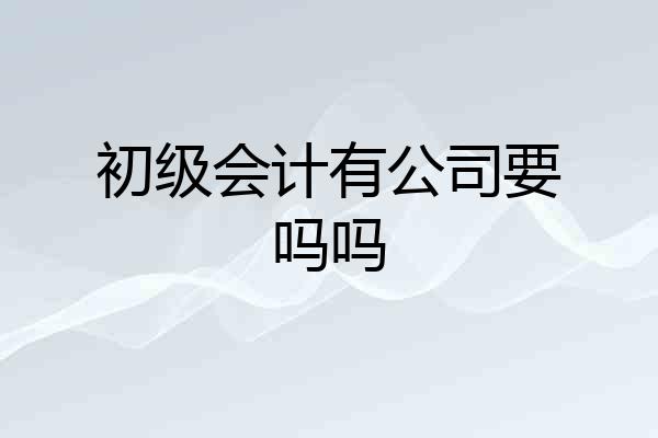 初级会计有公司要吗吗