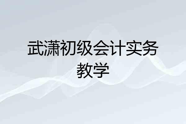 武潇初级会计实务教学