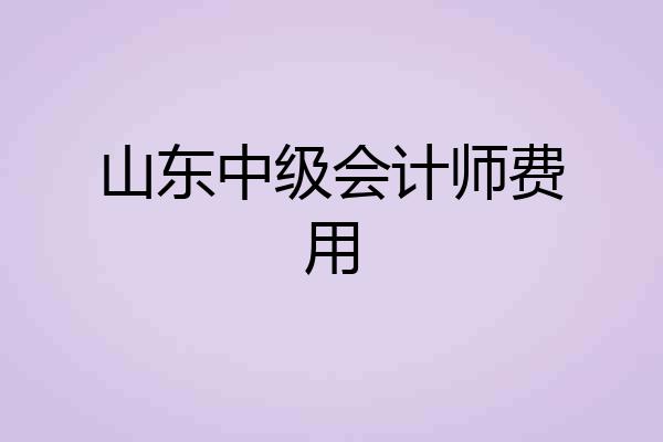 山东中级会计师费用